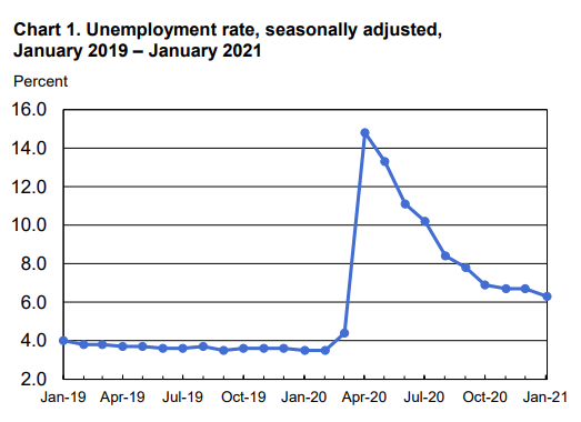 BLS The Employment Situation January 2021